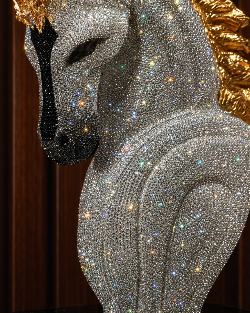 Arabian Horse Stallion